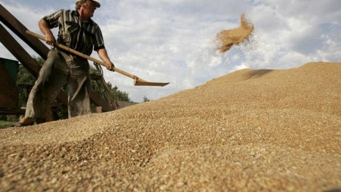 ر.م.ع ديوان الحبوب لـ"الصباح":     نتائج مفاوضات التمديد في تصدير الحبوب الأوكرانية لن تكون لها أي تداعيات على تونس.. 
